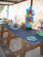 /album/festa-radical/dscf4063-jpg/